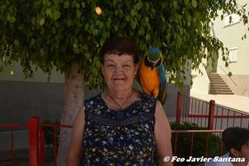 Espectáculo de aves exóticas de Paco Pluma en El Caracol (Foto Francisco Javier Santana)